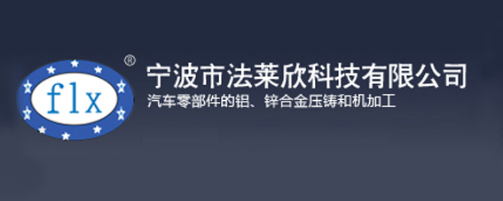 宁波市法莱欣科技有限公司